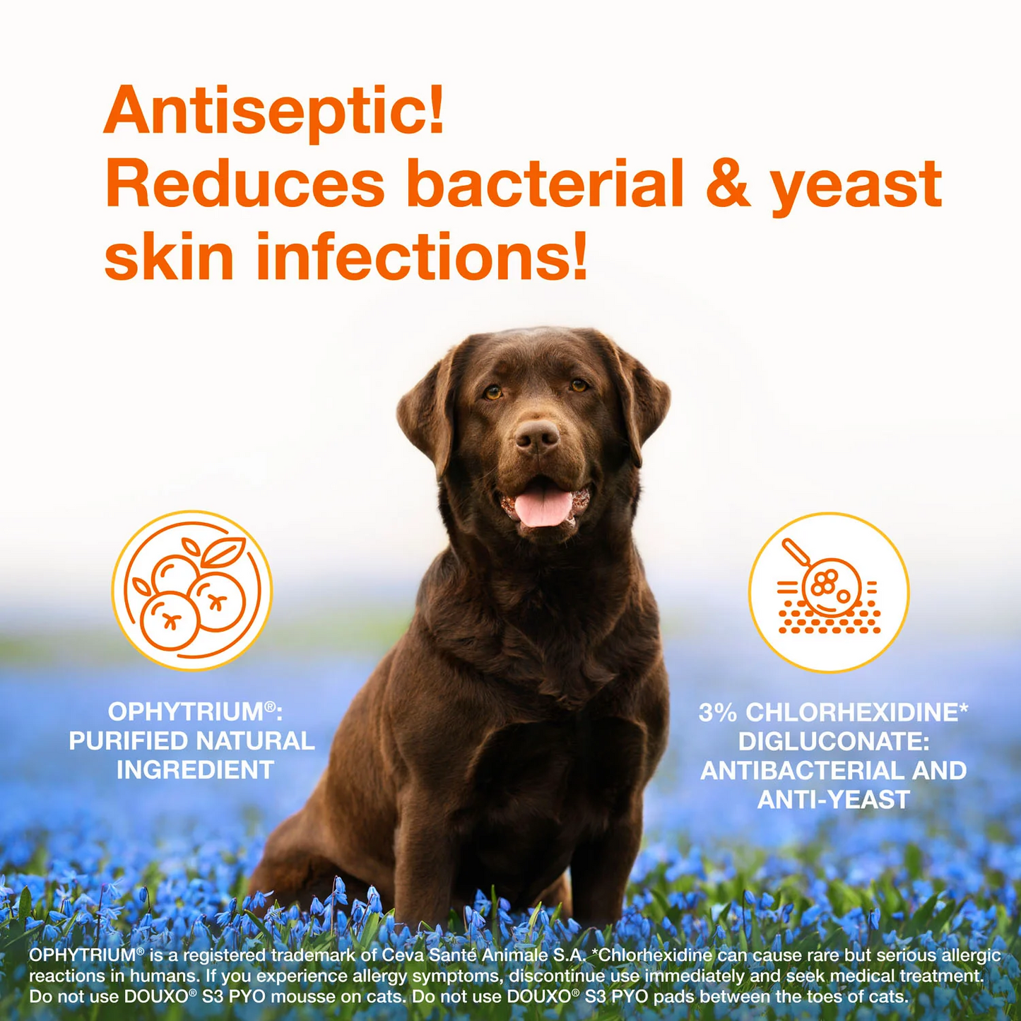 DOUXO® S3 PYO Shampoo