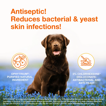 DOUXO® S3 PYO Shampoo